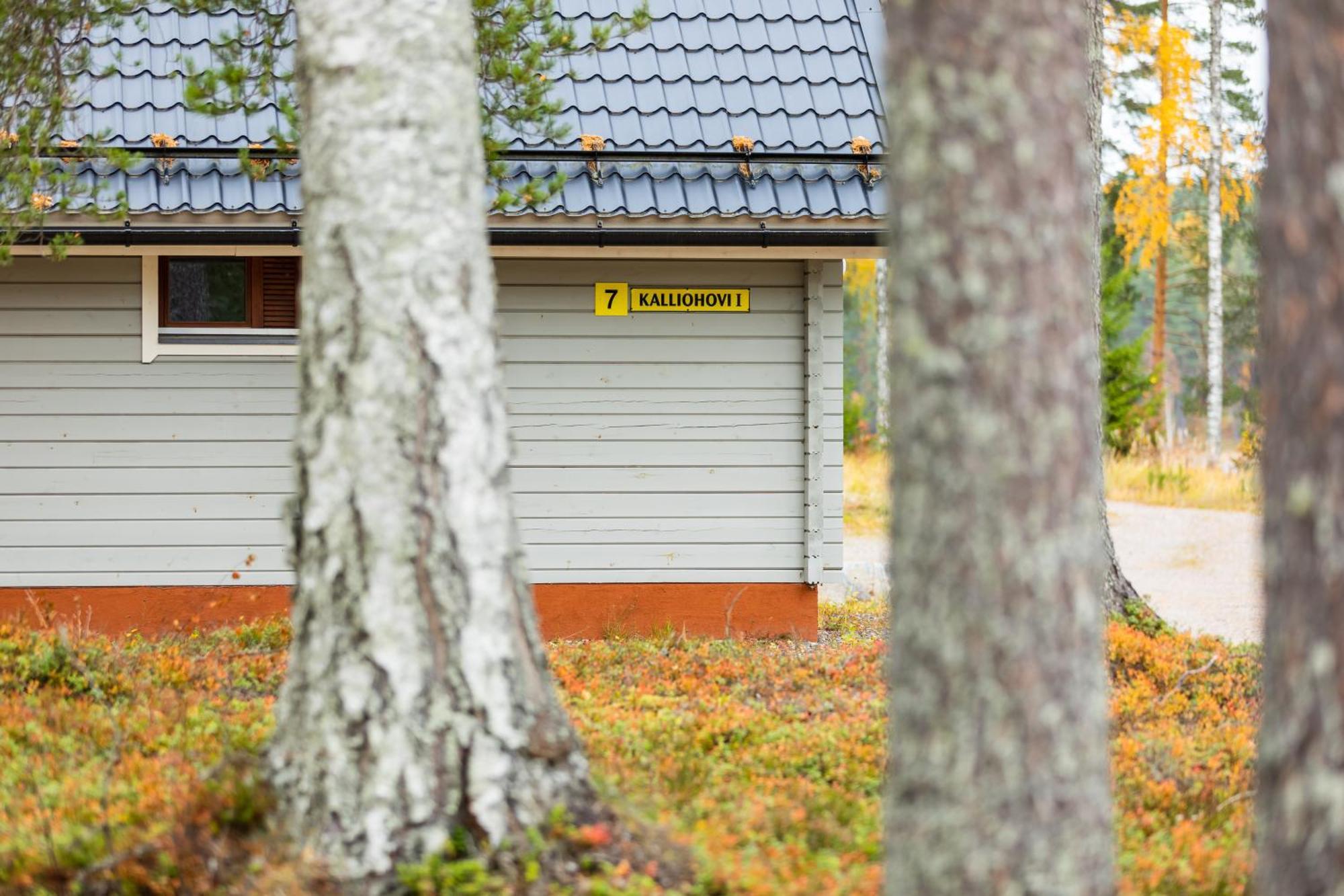 Lossisaari Tourist Center Keitele Kültér fotó