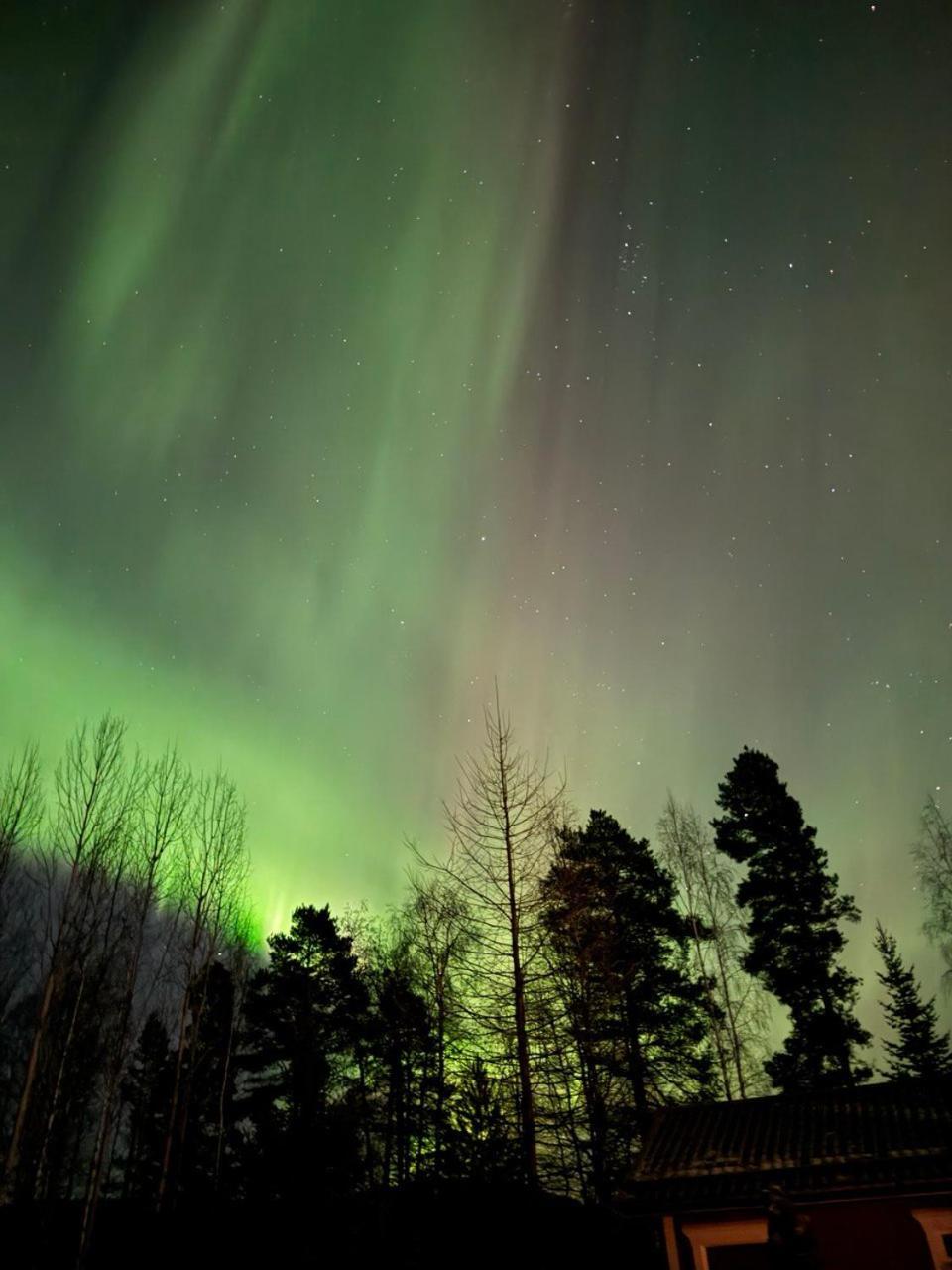 Lossisaari Tourist Center Keitele Kültér fotó